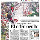 Páginas de periódico. Un projet de Direction artistique, Design de l'information , et Conception éditoriale de Alejandro Sosa - 30.04.2004