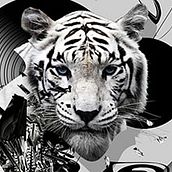ANIMALS. Een project van Traditionele illustratie van Pablo Camus - 30.12.2010