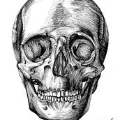 Anatomía. Traditional illustration project by María Reos Giménez - 03.09.2013