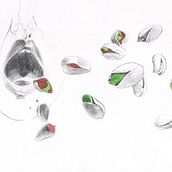 Varios proyectos de ilustración y diseño gráfico.. Film, Video, TV, Graphic Design, and Traditional illustration project by Natalia Antipova - 04.07.2014