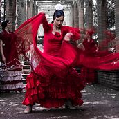 Flamenco. Un projet de Photographie de Carola Etchepareborda - 27.04.2014