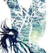 Ilustraciones. Un proyecto de Bellas Artes e Ilustración tradicional de Rocío Parra Sanchez - 06.05.2014