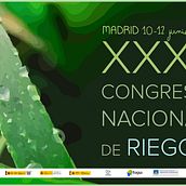 Cartel congreso. Un progetto di Graphic design di Elisa de la Torre - 12.05.2014