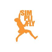 simpliFLY. Un proyecto de Diseño gráfico de Laura Marino - 17.05.2010