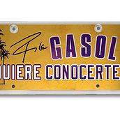 Gasol quiere conocerte. Een project van Webdesign y Marketing van Mª Eugenia Rivera de Lucas - 21.12.2010