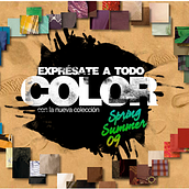 SPRINGFIELD (SS09). Web Design, Advertising, and UX / UI project by Gloria Montañés - 02.29.2012