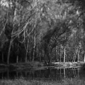 There is a path //. Photograph project by Aurora Sanz - 04.23.2014
