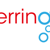 Red hering Safes, propuestas de logotipos. Un proyecto de Diseño gráfico de Alejandro Fraile Mouteira - 01.06.2014