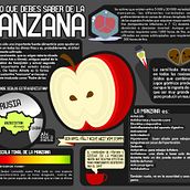 Infografía Manzana . Projekt z dziedziny Projektowanie informacji, Trad, c i jna ilustracja użytkownika Amauri Maltos - 02.06.2017