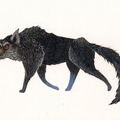Bâtard. Un projet de Beaux Arts, Conception de personnages et Illustration traditionnelle de Marina Pessarrodona - 08.06.2014