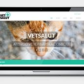 VetSalut. Web Development, Graphic Design, and Photograph project by laKarulina - 12.31.2013