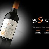 35ºSouth - Viña San Pedro. Animation, Web Development, and Web Design project by Andrea Pérez Dalannays - 06.18.2014