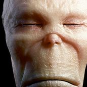 Modelado orgánico 3D. 3D, and Motion Graphics project by Dosher Infografica - 06.13.2013