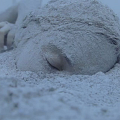 NO LAND - Contemporary Dance Teaser. Un proyecto de Cine, vídeo, televisión, Escenografía, Fotografía y Publicidad de Liberula Verde Films - 03.12.2012