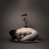 Alpha + Omega . % Vicin Ruiz tarafından hazırlanan Güzel sanatlar, Ve Fotoğrafçılık projesi - 10.30.2012