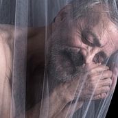 Chrysalis . % Vicin Ruiz tarafından hazırlanan Güzel sanatlar, Ve Fotoğrafçılık projesi - 07.21.2013