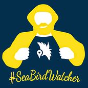 #SeaBirdstagram. App vigilancia de aves en el Mediterráneo. Programming, Web Development & Interactive Design project by Kurukatá Studios - 07.20.2014