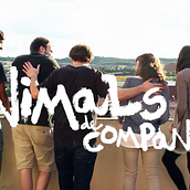 ANIMALS DE COMPANYIA, gràfica per a una sèrie de televisió. Un proyecto de Cine, vídeo, televisión, Dirección de arte y Diseño gráfico de Helena Deu Ferrer - 31.07.2014