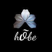 New Identity of the jewelry store Hõbe. Br, ing, Identit, Jewelr, Design, Graphic Design, and Packaging project by alfchoice - 07.31.2014