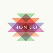 Bonico. Br, ing, Identit, Web Design, and UX / UI project by Iñaki de la Peña - 08.06.2014