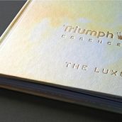 Triumph Essence Brand Book – Spring/Summer 2012 . Pencitraan Merek, Identitas, Desain, Desain Editorial, Dan Desain Grafis proyek oleh Katrin Horstkemper - 04.30.2012