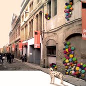 The yard garden. Design project by ángeles benítez aranda - 08.07.2014