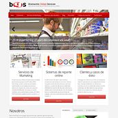 Brainworks Global Services. Web Design project by Oriol Ris Juarez - 06.30.2014