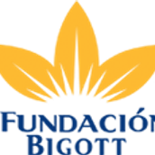 Website Fundación Bigott . % Arturo Kralj Torres tarafından hazırlanan Web Tasarımı, Ve Web Geliştirme projesi - 01.18.2014