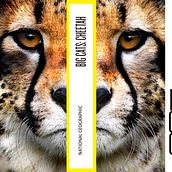 Big Cats. National Geographic. Br, ing, Identit, Editorial Design, Graphic Design, and Photograph project by Iris Fernández Martínez - 08.29.2014