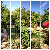 Fotografía móvil . Un proyecto de Fotografía de Tania Martín - 08.09.2014