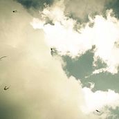 SUMPANGO "Cometas en el aire" Ein Projekt aus dem Bereich Fotografie von Kino Tovar - 08.09.2014