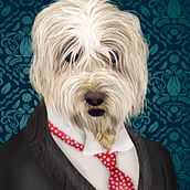 Dogs. Traditional illustration project by carousel-studio - 09.09.2014