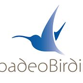 Diseño de logos. Een project van Grafisch ontwerp van Laura Alonso Carracedo - 15.09.2014