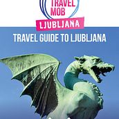 EBOOK+LOGO THETRAVELMOB. Graphic Design & Interactive Design project by Odi Bazó - 09.30.2014