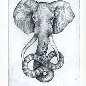 "Bestiario" - Aguafuertes. Fine Arts, and Traditional illustration project by Celeste Ciafarone - 03.31.2014