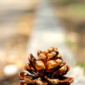 Otoño. Photograph project by Miriam Cano Nieto - 10.05.2014