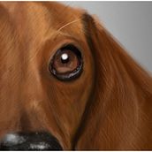 dog Ein Projekt aus dem Bereich Bildende Künste, Kunstleitung, Design und Traditionelle Illustration von Natasha Luis De La Cueva - 05.03.2014