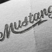 LETTERING FOR SHOES. Graphic Design, T, and pograph project by Laura Leal - 10.06.2014