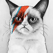 Ilustrations. Design, Graphic Design, and Traditional illustration project by Silvia Ramon Figuerola - 10.06.2014