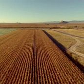 Ucacsa. Un projet de Animation, Cinéma, vidéo et télévision, Conseil créatif, Design , Marketing, Motion design, Musique , et Postproduction photographique de Nikola Anakabe - 07.02.2014