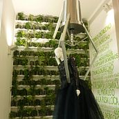 ENFANT TERRIBLE popup store. Interior Architecture, Interior Design, Furniture Design, Making & Industrial Design project by sanatorio de IDEAS - 10.13.2014