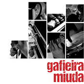 Gafieira Miuda. Een project van  Webdevelopment van iker lopez de audikana - 13.06.2014