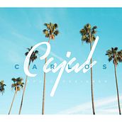 Portfolio. Br, ing, Identit, Design, Product Design, Editorial Design, Graphic Design, T, and pograph project by CARLOS Cajal Gonzalez - 06.25.2018