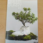 Green Curry (Eco design magazine). Editorial Design project by lara lorenzo moreno - 10.26.2014