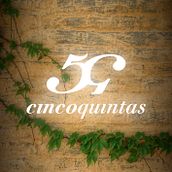 Cinco Quintas. Projekt z dziedziny Projektowanie graficzne i Marketing użytkownika Martín Palomeque Roza - 18.10.2014