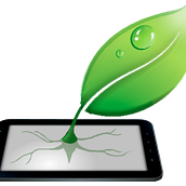 Co-Founder at Green Grow Apps S.C. Ein Projekt aus dem Bereich Programmierung von Alex Salom - 31.07.2012