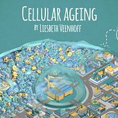 Cellular Ageing animation. Un progetto di Motion graphics e 3D di David Garcia Torrico - 02.11.2014