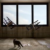 l'amant invisible . Un progetto di Fotografia di Natxo Bassols Salles - 02.11.2014