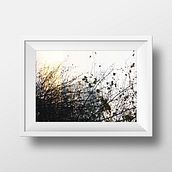 Nature & City. Photograph project by Abigail Rodríguez - 11.04.2014