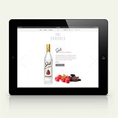 Stoli web. Web Design project by allende lopez - 11.09.2014
